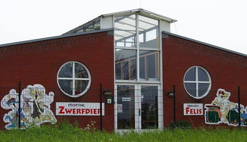 Stichting Zwerfdier