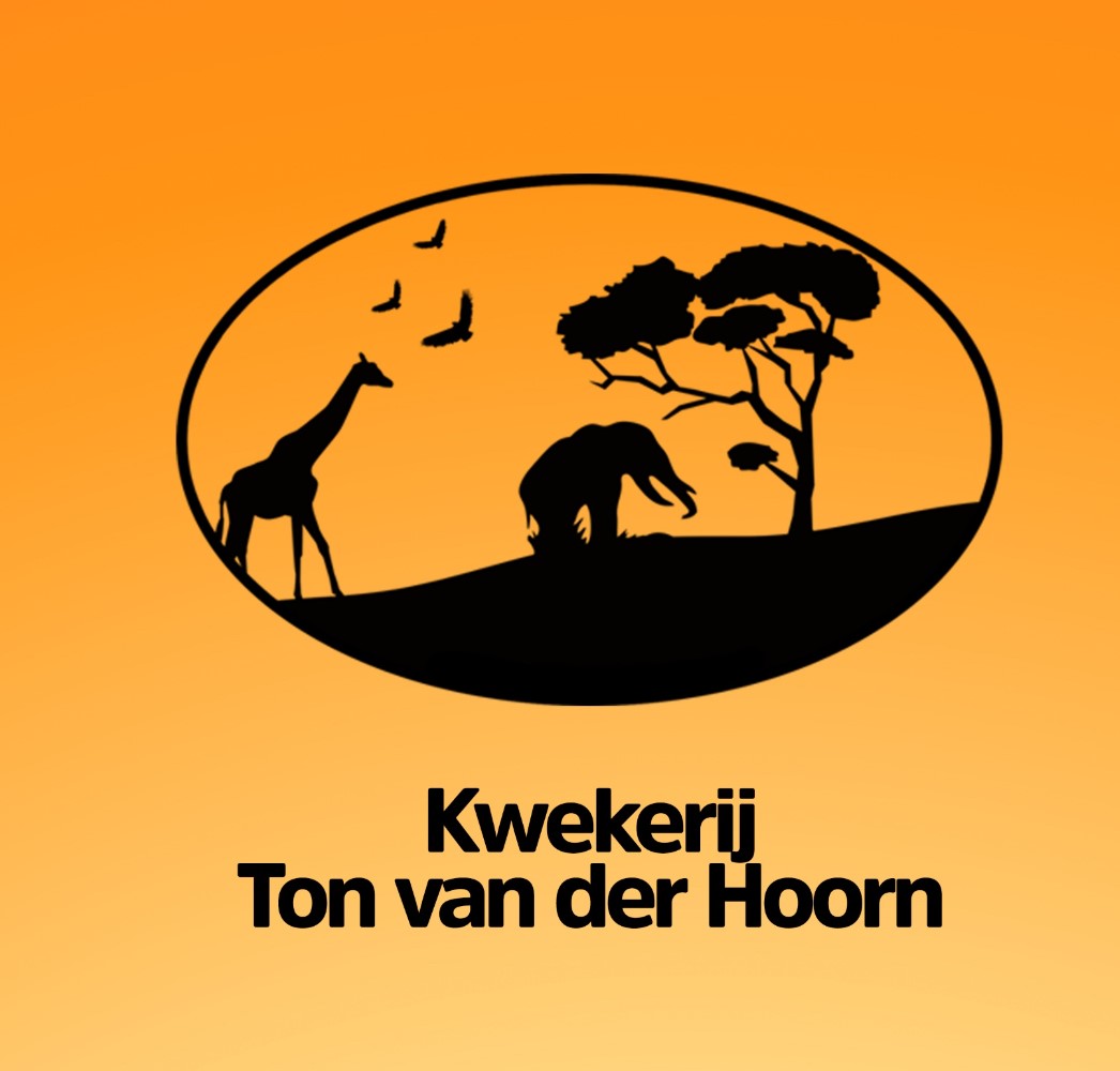 Kwekerij Ton van der Hoorn