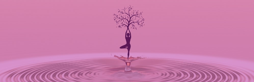Witte Lotus Yoga en De Vitaliteitsdolfijn