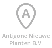 Antigone Nieuwe Planten B.V.