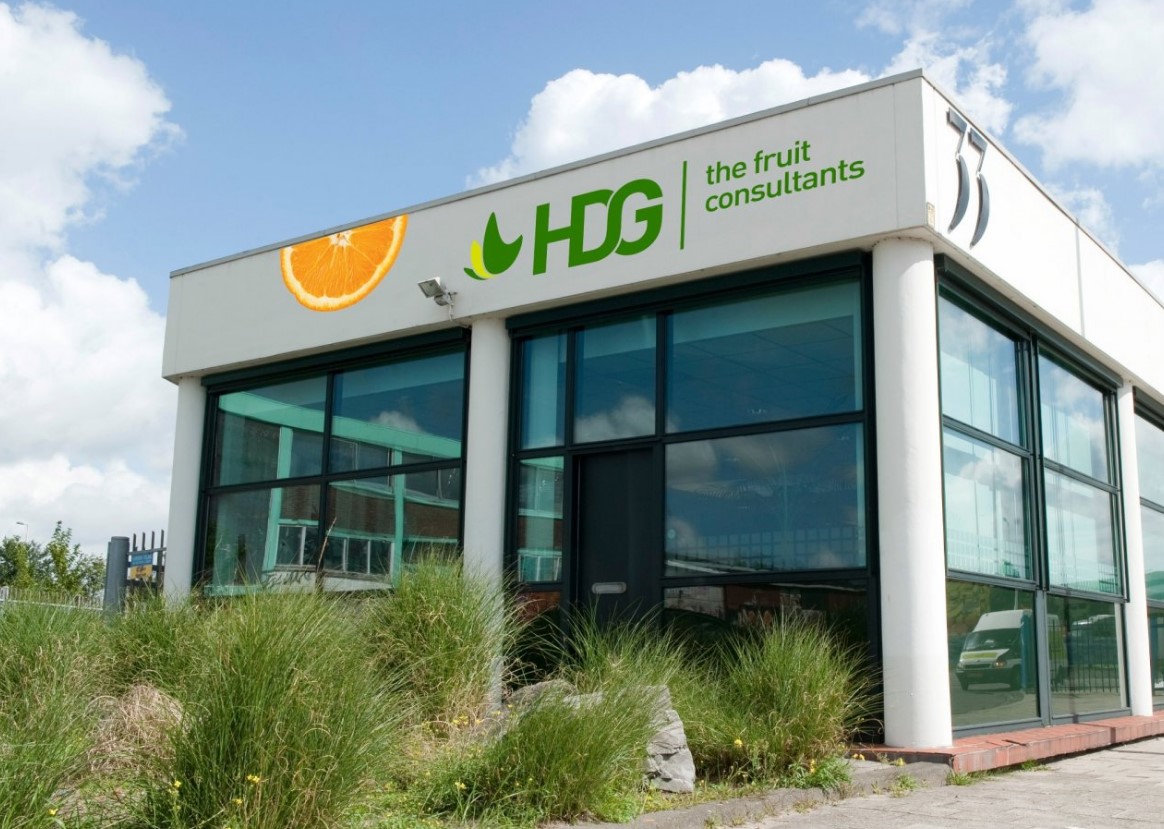 HDG the fruit consultants